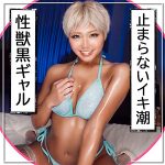 ちょこなっつ  kyn0005